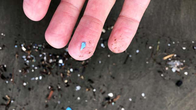 On January 19, 2020, microplastic debris washed ashore in Depoe Sound, Oregon.